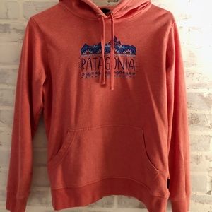 ~ Patagonia~ pullover hoodie